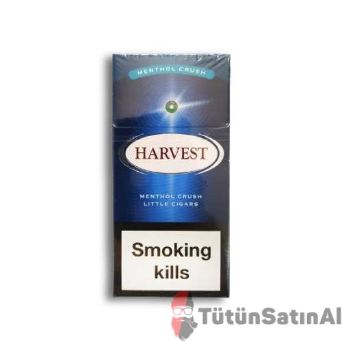 Harvest Crush Menthol Patlatmalı Mini İthal Sigara 1 Harvest Crush Menthol Patlatmalı Mini İthal Sigara