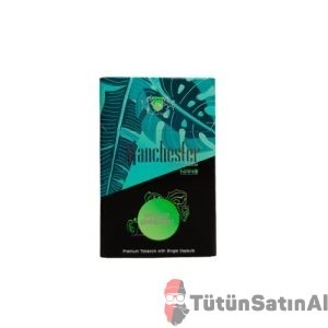 Manchester Sigara Tiryakilerine Özel Öneriler 2 manchester nano wild green tutunsatinal