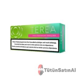 TEREA Zing Wave IQOS Iluma