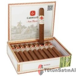 EP Carrillo New Wave Connecticut Divinos