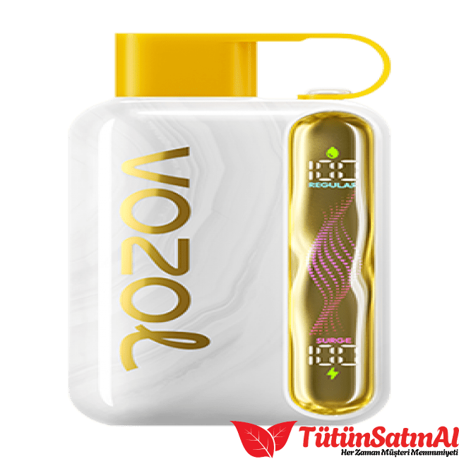 Vozol Star 40000 Melon Ice 1 Vozol Star 40000 Melon Ice