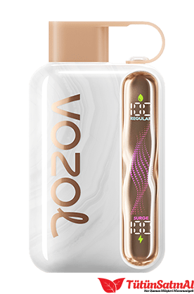 Vozol Star 40000 Peach Ice 1 Vozol Star 40000 Peach Ice