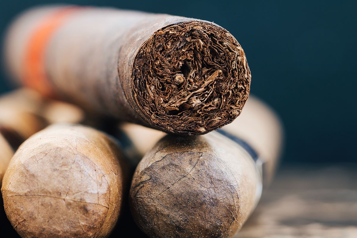 ithal purolarin essiz aramolari 0001