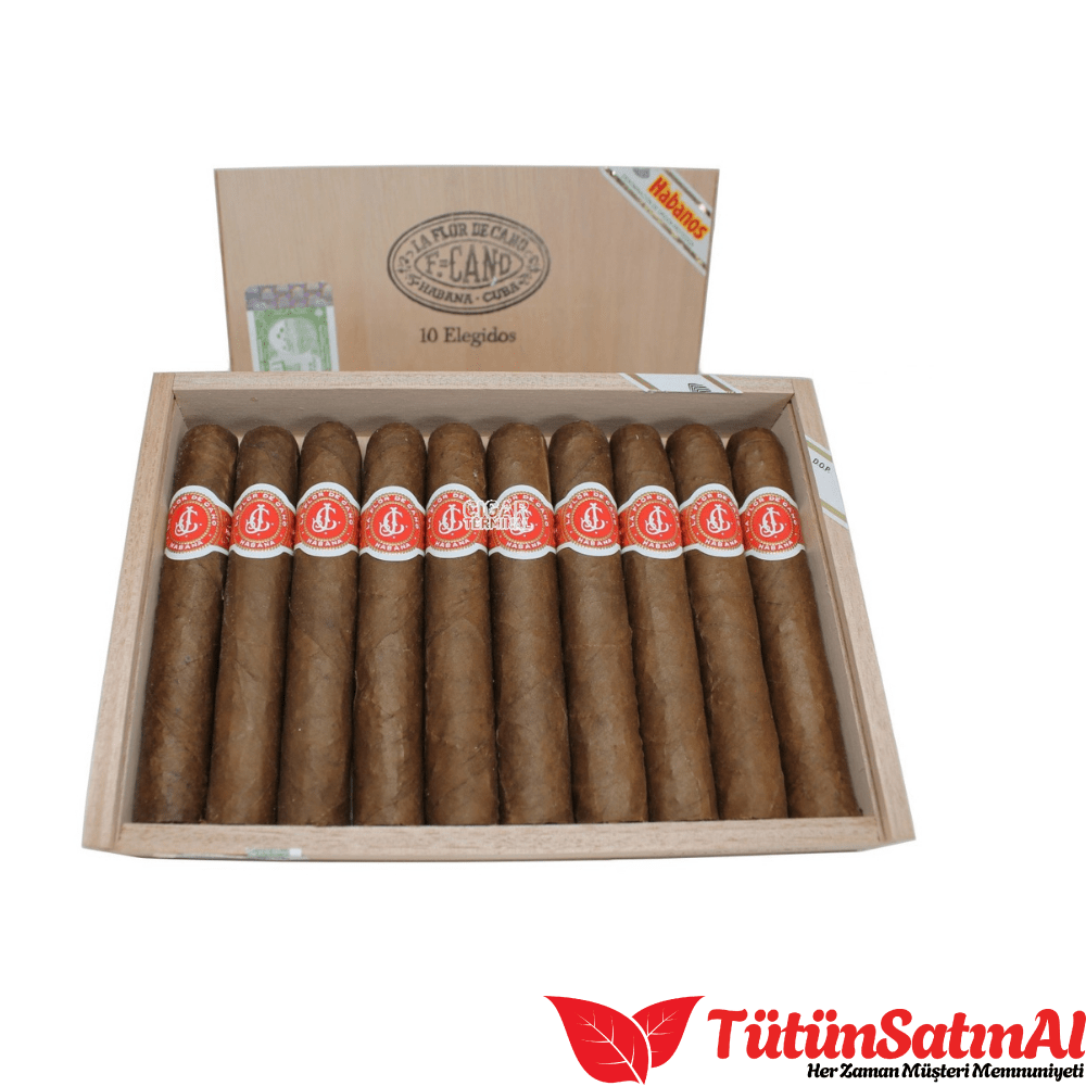 La Flor de Cano Elegidos